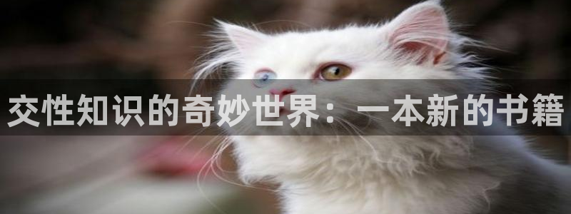 书旗小书：交性知识的奇妙世界：一本新的书籍