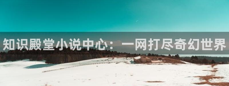 书旗 app