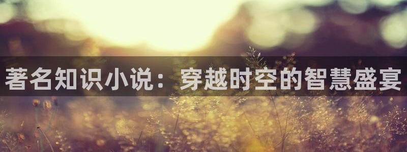 书旗去广告
