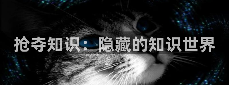 小说书旗：抢夺知识：隐藏的知识世界