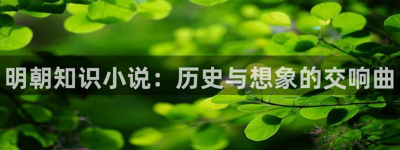 免费书旗阅读小说