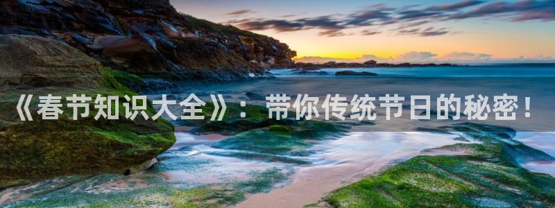 手机书旗网